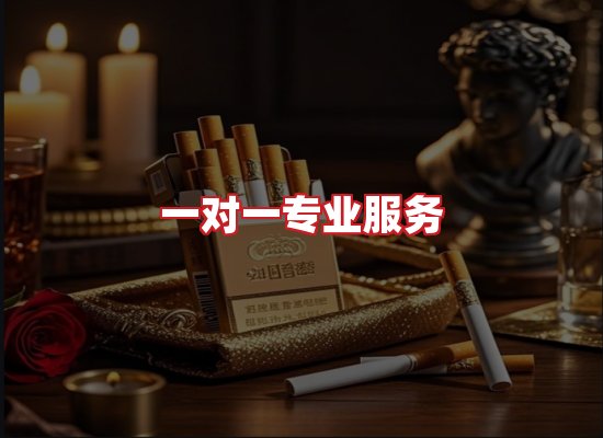 专业团队